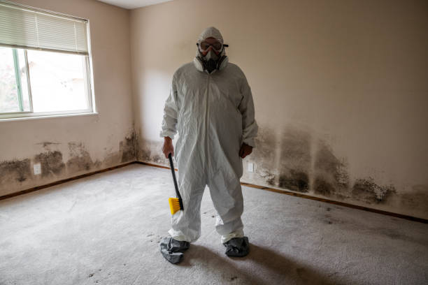 Best Industrial Mold Remediation in South Charleston, OH